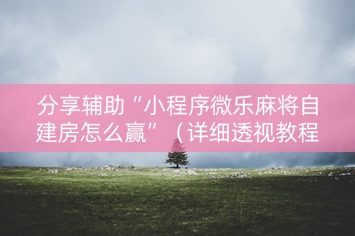 分享辅助“小程序微乐麻将自建房怎么赢”（详细透视教程）-哔哩哔哩