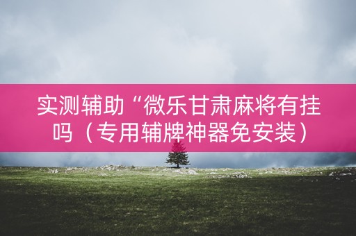 实测辅助“微乐甘肃麻将有挂吗（专用辅牌神器免安装）