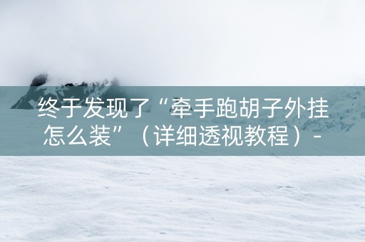 终于发现了“牵手跑胡子外挂怎么装”（详细透视教程）-哔哩哔哩