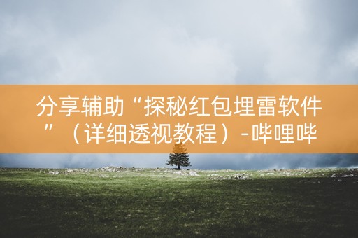分享辅助“探秘红包埋雷软件”（详细透视教程）-哔哩哔哩