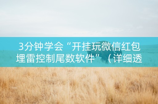 3分钟学会“开挂玩微信红包埋雷控制尾数软件”（详细透视教程）-哔哩哔哩