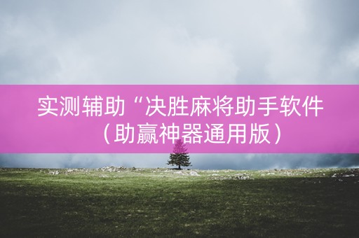 实测辅助“决胜麻将助手软件（助赢神器通用版）