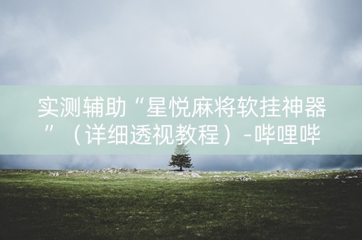 实测辅助“星悦麻将软挂神器”（详细透视教程）-哔哩哔哩