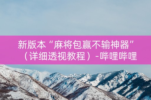 新版本“麻将包赢不输神器”（详细透视教程）-哔哩哔哩