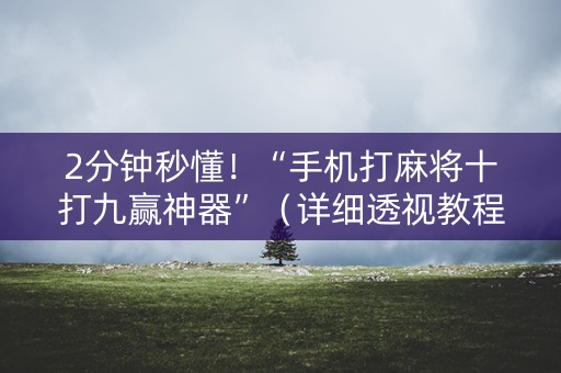 2分钟秒懂！“手机打麻将十打九赢神器”（详细透视教程）-哔哩哔哩