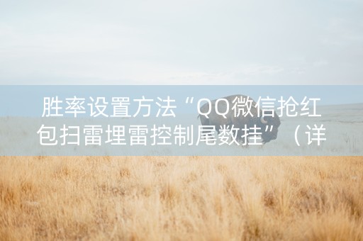 胜率设置方法“QQ微信抢红包扫雷埋雷控制尾数挂”（详细透视教程）-哔哩哔哩