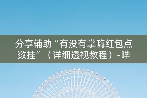 分享辅助“有没有掌嗨红包点数挂”（详细透视教程）-哔哩哔哩