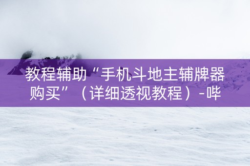 教程辅助“手机斗地主辅牌器购买”（详细透视教程）-哔哩哔哩