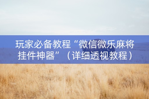 玩家必备教程“微信微乐麻将挂件神器”（详细透视教程）-哔哩哔哩