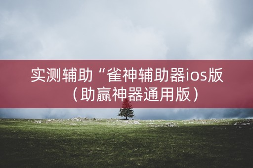 实测辅助“雀神辅助器ios版（助赢神器通用版）