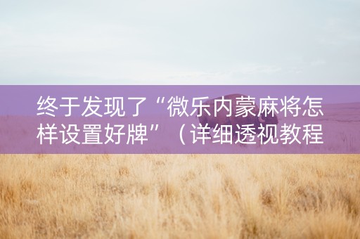 终于发现了“微乐内蒙麻将怎样设置好牌”（详细透视教程）-哔哩哔哩