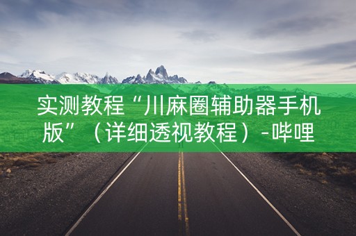 实测教程“川麻圈辅助器手机版”（详细透视教程）-哔哩哔哩