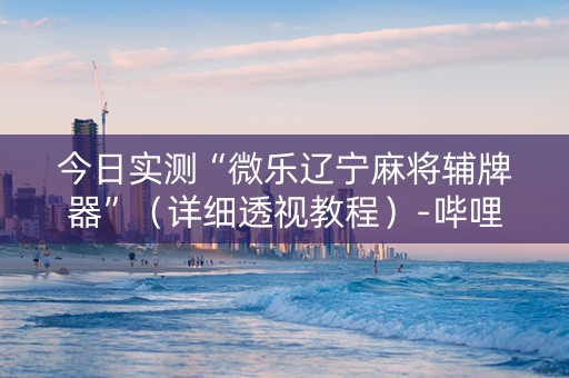 今日实测“微乐辽宁麻将辅牌器”（详细透视教程）-哔哩哔哩