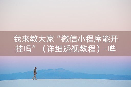 我来教大家“微信小程序能开挂吗”（详细透视教程）-哔哩哔哩