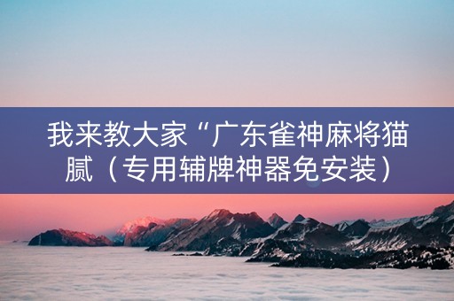 我来教大家“广东雀神麻将猫腻（专用辅牌神器免安装）