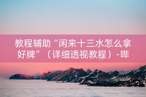 教程辅助“闲来十三水怎么拿好牌”（详细透视教程）-哔哩哔哩