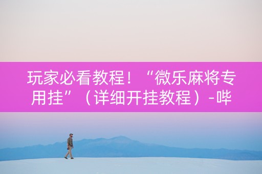 玩家必看教程！“微乐麻将专用挂”（详细开挂教程）-哔哩哔哩
