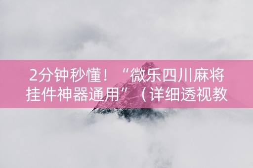 2分钟秒懂！“微乐四川麻将挂件神器通用”（详细透视教程）-哔哩哔哩