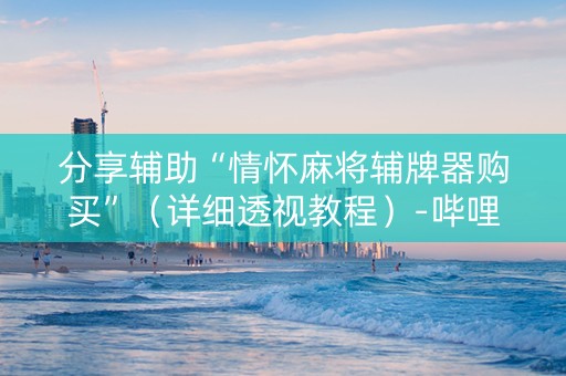 分享辅助“情怀麻将辅牌器购买”（详细透视教程）-哔哩哔哩