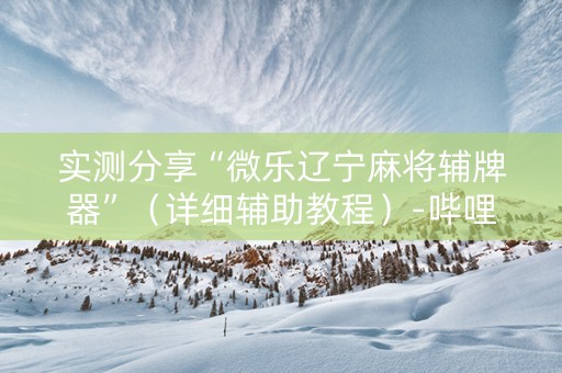 实测分享“微乐辽宁麻将辅牌器”（详细辅助教程）-哔哩哔哩