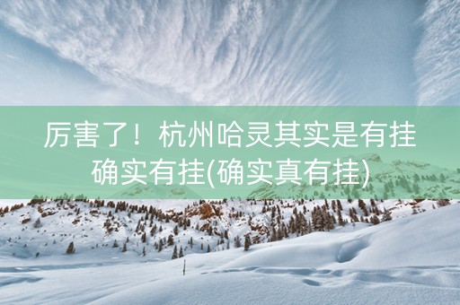 厉害了！杭州哈灵其实是有挂确实有挂(确实真有挂)