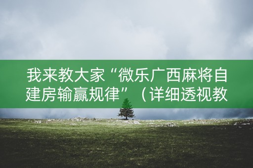 我来教大家“微乐广西麻将自建房输赢规律”（详细透视教程）-哔哩哔哩