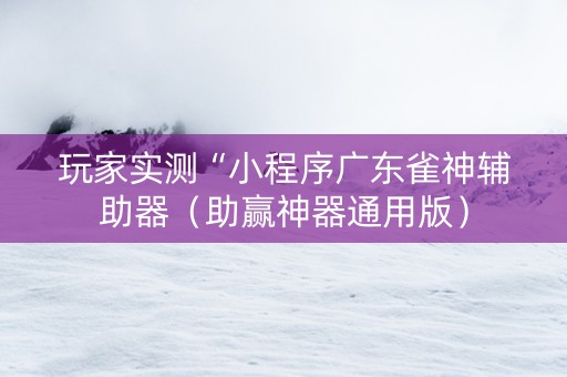 玩家实测“小程序广东雀神辅助器（助赢神器通用版）