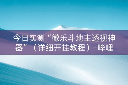 今日实测“微乐斗地主透视神器”（详细开挂教程）-哔哩哔哩
