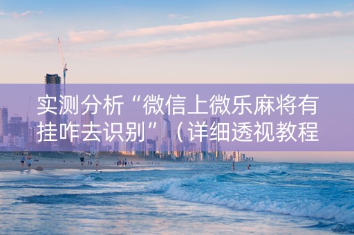 实测分析“微信上微乐麻将有挂咋去识别”（详细透视教程）-哔哩哔哩