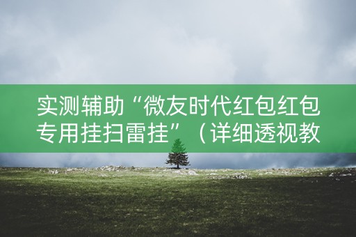 实测辅助“微友时代红包红包专用挂扫雷挂”（详细透视教程）-哔哩哔哩