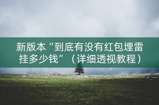 新版本“到底有没有红包埋雷挂多少钱”（详细透视教程）-哔哩哔哩