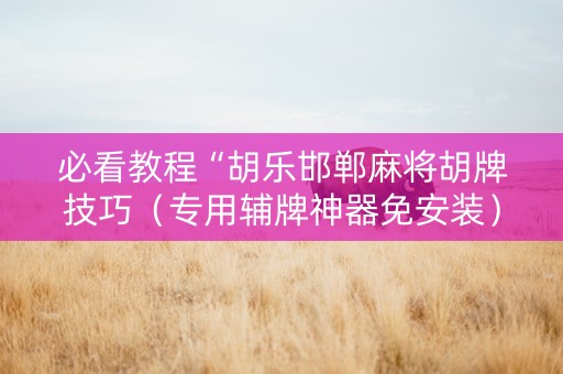 必看教程“胡乐邯郸麻将胡牌技巧（专用辅牌神器免安装）