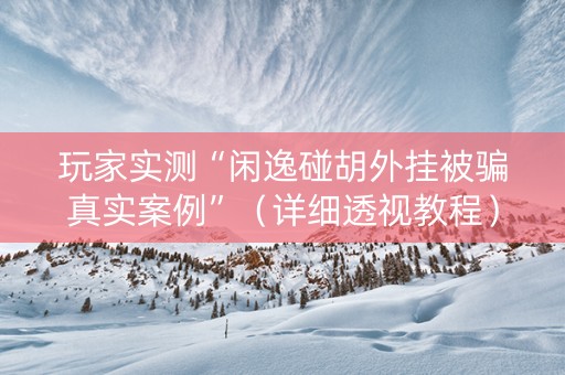 玩家实测“闲逸碰胡外挂被骗真实案例”（详细透视教程）-哔哩哔哩