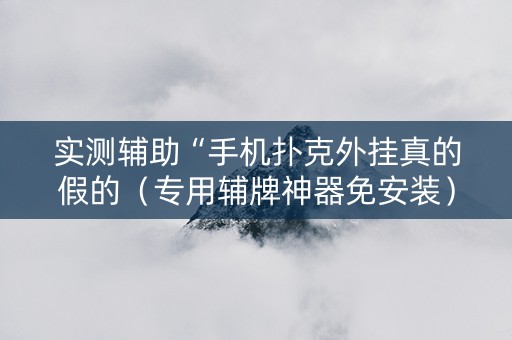 实测辅助“手机扑克外挂真的假的（专用辅牌神器免安装）