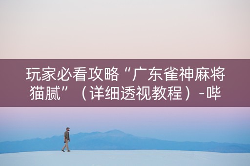 玩家必看攻略“广东雀神麻将猫腻”（详细透视教程）-哔哩哔哩