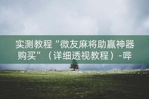实测教程“微友麻将助赢神器购买”（详细透视教程）-哔哩哔哩