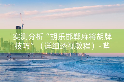 实测分析“胡乐邯郸麻将胡牌技巧”（详细透视教程）-哔哩哔哩