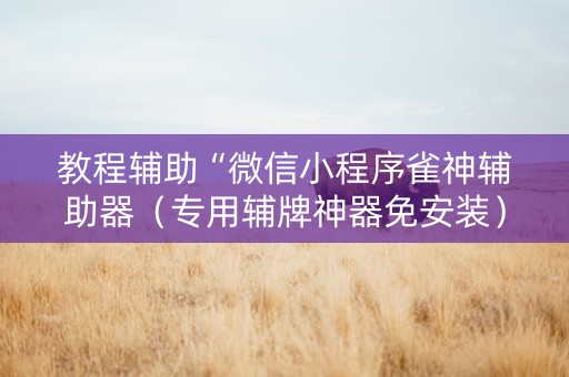 教程辅助“微信小程序雀神辅助器（专用辅牌神器免安装）