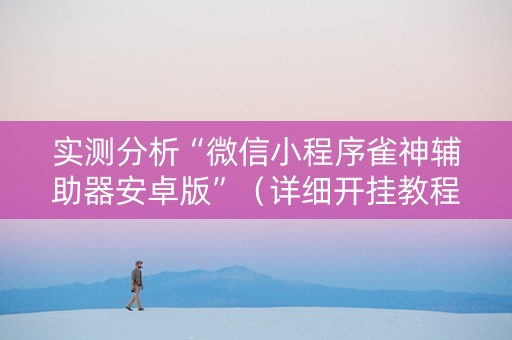 实测分析“微信小程序雀神辅助器安卓版”（详细开挂教程）-哔哩哔哩