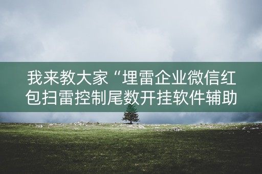我来教大家“埋雷企业微信红包扫雷控制尾数开挂软件辅助器”（详细透视教程）-哔哩哔哩