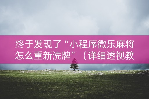 终于发现了“小程序微乐麻将怎么重新洗牌”（详细透视教程）-哔哩哔哩