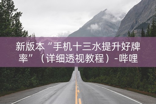 新版本“手机十三水提升好牌率”（详细透视教程）-哔哩哔哩