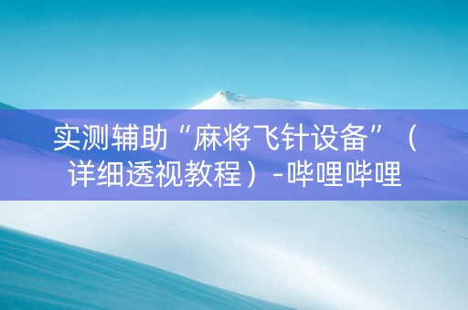 实测辅助“麻将飞针设备”（详细透视教程）-哔哩哔哩