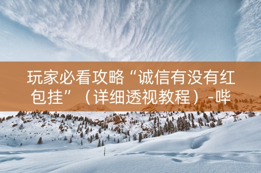 玩家必看攻略“诚信有没有红包挂”（详细透视教程）-哔哩哔哩