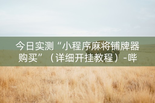 今日实测“小程序麻将铺牌器购买”（详细开挂教程）-哔哩哔哩
