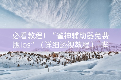 必看教程！“雀神辅助器免费版ios”（详细透视教程）-哔哩哔哩