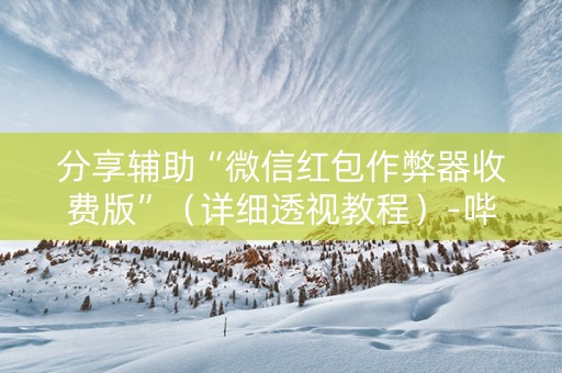 分享辅助“微信红包作弊器收费版”（详细透视教程）-哔哩哔哩