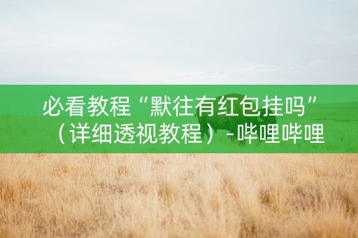 必看教程“默往有红包挂吗”（详细透视教程）-哔哩哔哩