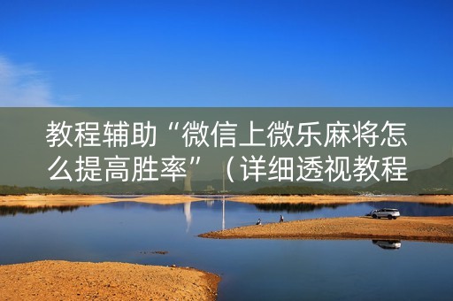 教程辅助“微信上微乐麻将怎么提高胜率”（详细透视教程）-哔哩哔哩