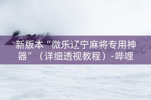 新版本“微乐辽宁麻将专用神器”（详细透视教程）-哔哩哔哩